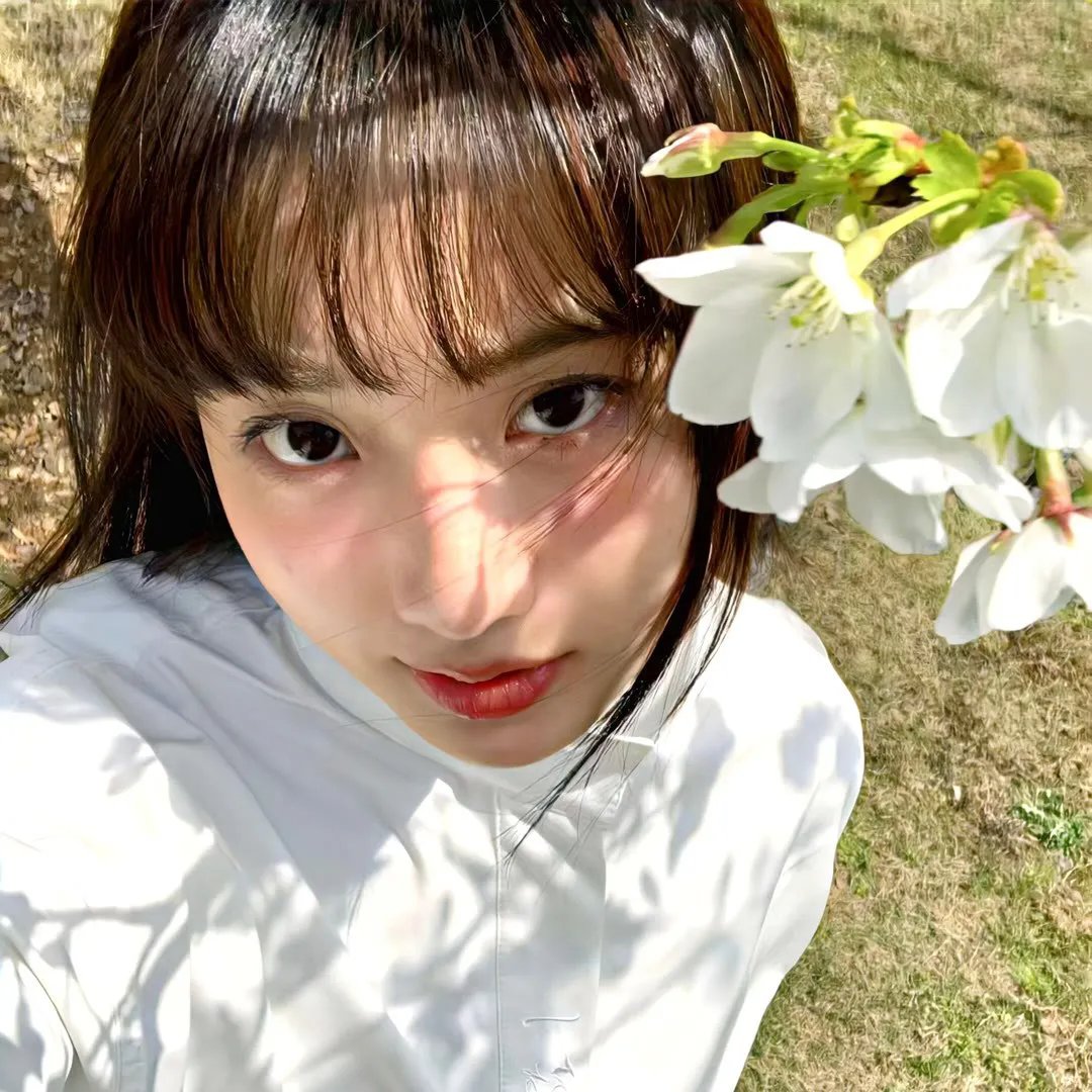 白雾谜岸